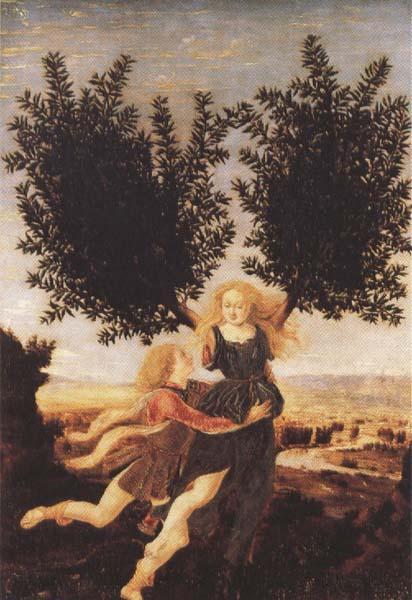 Antonio del Pollaiuolo Apollo and Daphne (mk45) France oil painting art